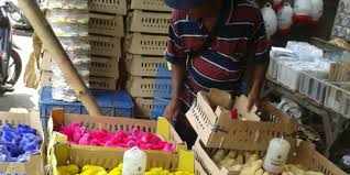 Cara menggambar ayam cara mewarnai ayam untuk anak paud tk sd. Bisnis Jual Beli Anak Ayam Berwarna Kalau Mati Bisa Ditukar Lagi Merdeka Com
