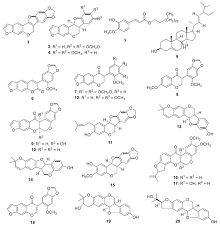 Image result for Neorautanenia mitis