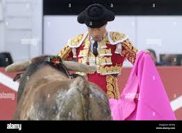 Luis bolivar fotografías e imágenes de alta resolución - Alamy