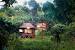 Resort Bamboo Cottage