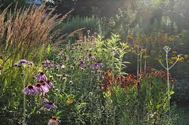 Staudengarten Gross Potrems Gartenrundgang Im Juli Staudengarten Stauden Garten