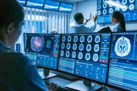 What Does A Neuroscientist Do And How To Become A Neuroscientist