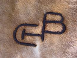 Pin On Branding Irons