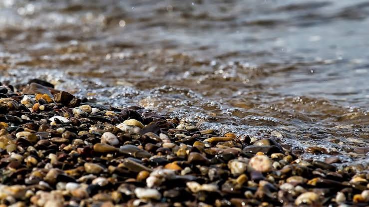 science words that start with S like sediment