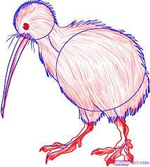 How To Draw A Kiwi Step By Step Birds Animals Free Online Drawing Tutorial Added By Dawn April 26 2009 12 29 59 Pm Bird Drawings Drawings Bird Stencil