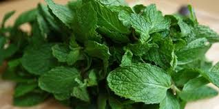 Cara menaikkan berat badan selanjutnya adalah dengan mengurangi konsumsi air sebelum makan. Ini 4 Tanaman Herbal Pengusir Racun Dari Tubuh Merdeka Com