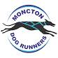 Intro to Harness Dog Sports (Amherst, NS) event image