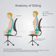 Pin On Human Body Info Graphic