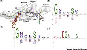 One billion can also be written as b or bn. Myristoylation An Ancient Protein Modification Mirroring Eukaryogenesis And Evolution Trends In Biochemical Sciences