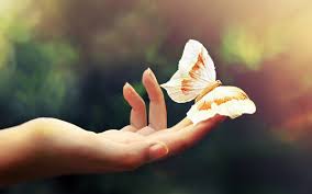 Hands And Divine Magic Omraam Words Of Light