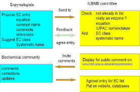 Flow Chart For Classification Of An Enzyme Download