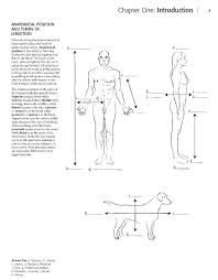 Kaplan Anatomy Coloring Book Pdf Anatomy Coloring Book Alphabet Coloring Pages Coloring Books