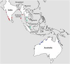 Indonesia thailand map illustrations & vectors. Map Of The Tropical Indo West Pacific Region Illustrating Various Download Scientific Diagram