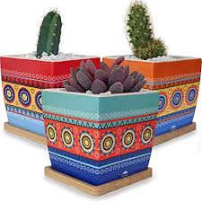 Choosing indoor plant pots can feel overwhelming. Small Ceramic Succulent Planter Pots With Drainage Holes And Tray Saucers For Plants Flowers Cactus And Succulents Cute Mini Decorative Indoor Plant Flower Pot Set And Bamboo Trays Garden Planters Buy