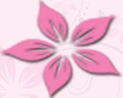 Walk away energized by the magic of fresh flowers and fragrant coffee. Grass Valley Florist Cruz Thru Coffee Home Facebook