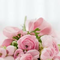 Larry D. Curvin Obituary (1945