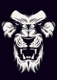 85 Best Artworks Images Illustrations Cycling Art Drawings