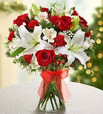 Check spelling or type a new query. Fields Of Europe For Christmas Roses Lilies Greens 60 For Large At 1 800 Flowers Christmas Flower Arrangements Flower Arrangements Christmas Flowers