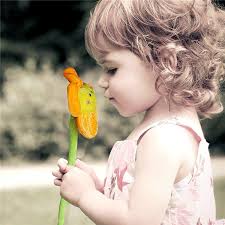 Happy Faces Soft Bendable Hastes Girassol Brinquedo para Crianças Daisy Flor  Colorida com Enchimento de Algodão PP para Decorações do quarto do bebê|  Alibaba.com