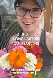 How to Maintain Cut Flower Garden
