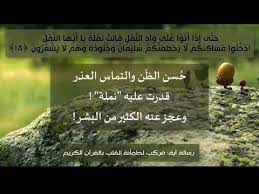 رسالة آية ق ال ت ن م ل ة ي ا أ ي ه ا الن م ل اد خ ل وا م س اك ن ك nature alai