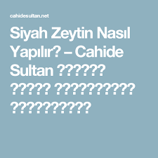 Siyah Zeytin Nasil Yapilir Tiramisu Tarifler Baget Tarifi