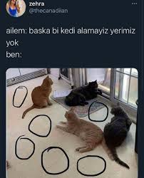 Filiz Adli Kullanicinin Kafamiza Gore Panosundaki Pin 2020 Komik Metinler Komik Seyler Komik