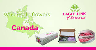 You can buy edibles online from us in a host of different forms, include food items, beverages, chocolates, as well as candies. Wholesale Flowers To Canada Eagle Link Flowers