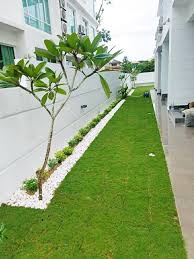 Ide desain & gambar lanskap taman l homify desain taman seperti apa yang pas untuk. Rumput Karpet Landskap Home Furniture Gardening On Carousell