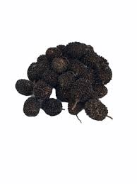 Image result for Guazuma