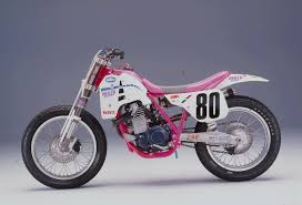 Image result for Bright Wineberry Sun Glo 1993 Motorcycle