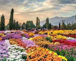 گلخانه‌ای پر از گل‌های رنگارنگ و عجیب و غریب در باغ گیاه‌شناسی ملی ایران