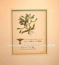 Celebrate and remember the lives we have lost in bangor, maine. The Flowers Of Shakespeare By Giraud Jane Elizabeth