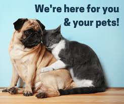We offer the area's largest selection of natural and holistic pet foods at the lowest prices. Covid 19 Update Pets Plus Natural