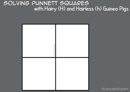 Students will fill in the punnett squares, complete a table containing the genotypes and phenotypes of the offspring, and answer a set of questions for each problem. Mendelian Genetics Lessons Blendspace