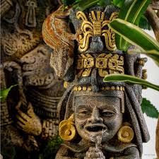 Image result for Exotheca