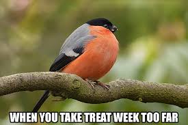 Pin By Gotume On Flp Social Media Posts Bullfinch Backyard Birds Male Bird