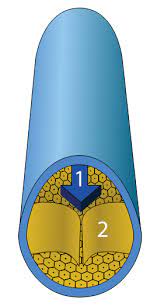 Vene Wikipedia