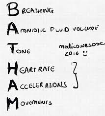 Image result for Biophysical Profile
