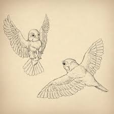 Maybe you would like to learn more about one of these? How To Draw Animals Birds Their Anatomy And How To Draw Them