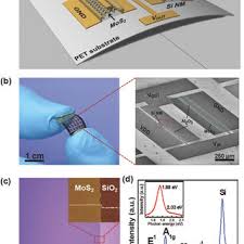 In this pmos transistor acts as a pun and the nmos transistor is acts as a pdn. Pdf Highly Flexible Hybrid Cmos Inverter Based On Si Nanomembrane And Molybdenum Disulfide