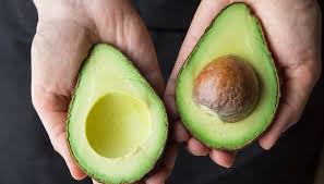 How To Make An Avocado Tree Bear Fruit In 2020 How To Ripen Avocados Grow Avocado Avocado