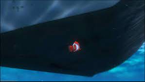 Check spelling or type a new query. Bitch Please I M A Clown Fish Gif On Imgur