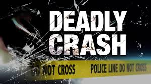 Pitkin man dies in single-vehicle crash in Allen Parish