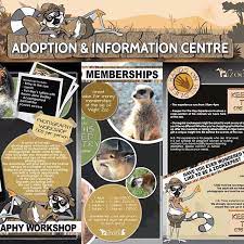 Ingeniousdesignuk On Instagram More From The Isleofwight Zoo Design Set Could You Adopt A Tiger Get Down Zoo Signage Graphic Design Photography Signage