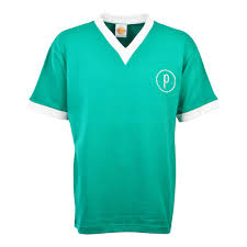 We did not find results for: Palmeiras 1959 Retro Football Shirt Vintage Football Club