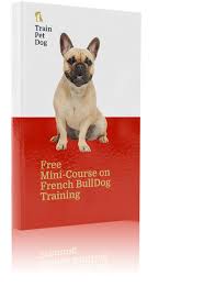 Watch french bulldog puppy videos! French Bulldog Training Temperament Breed History