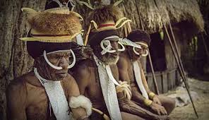 Ya, indonesia punya ratusan suku bangsa loh. Kebudayaan Papua Barat Rumah Pakaian Tarian Lengkap Imujio Com