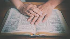 Many people who have read the bible also believe the coronavirus could be a biblical harbinger of doom. Discover The 5 Covenants In The Bible Olive Tree Blog