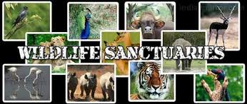 Kerala Psc Adda Wildlife Sanctuaries In India To clear bank exams how to series ibps clerk mains planner ibps clerk prelims ibps po prelims 2019 ibps po questions ibps rrb mains ibps rrb prelims important current affairs quiz inequalities insurance exams kerala psc ca. kerala psc adda wildlife sanctuaries